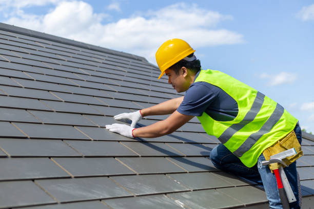 Best Roof Repair Services  in Marshall, IL