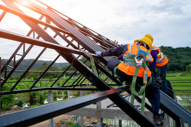 Best Metal Roofing Contractor  in Marshall, IL