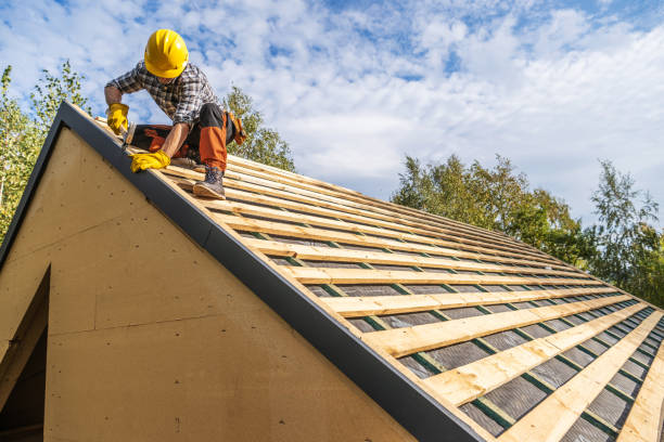 Best Roof Repair Services  in Marshall, IL