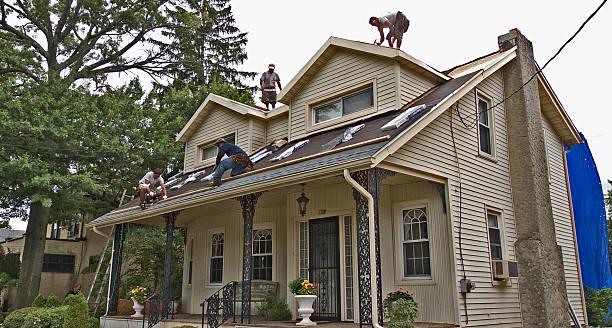 Best Roofing Contractor Near Me  in Marshall, IL