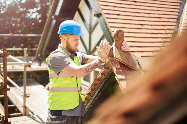 Best Residential Roof Replacement  in Marshall, IL