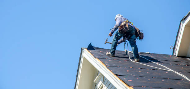 Best Storm Damage Roof Repair  in Marshall, IL